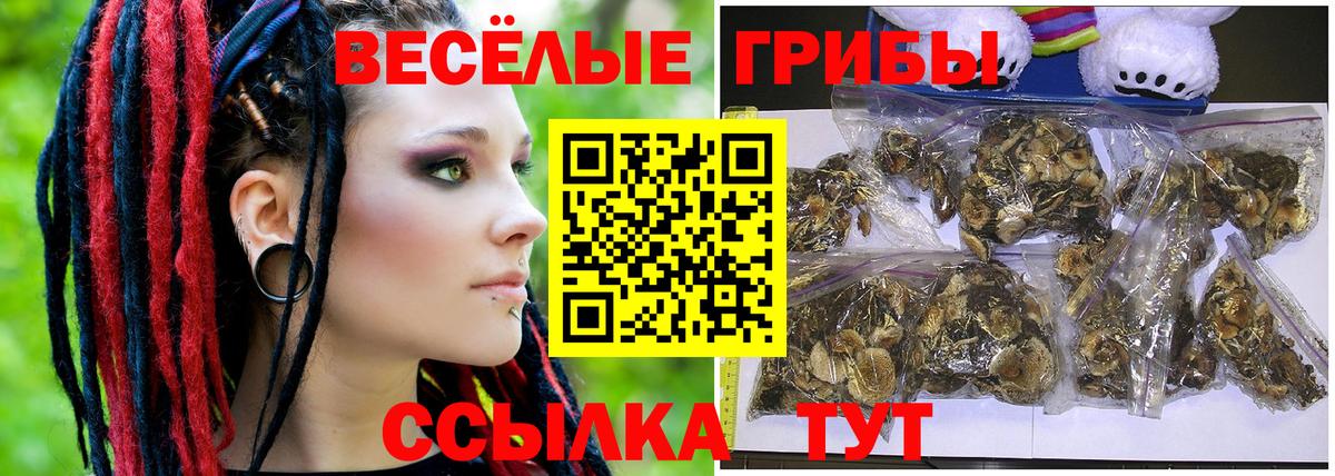 Псилоцибиновые грибы мухоморы  Галлюциногенные грибы прущие грибы  Вход с VPN  Заринск 
